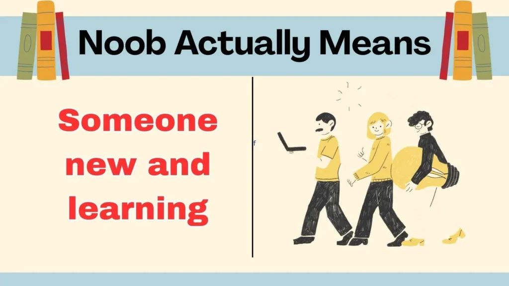 Noob Actually Means