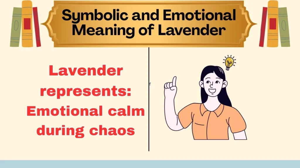 Symbolic and Emotional Meaning of Lavender